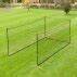 Image result for Backyard Cricket Pic