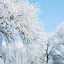 Image result for Winter Images for iPhone