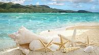 Image result for Beach iPad Wallpaper