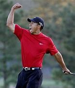 Image result for Eldrick Tiger Woods