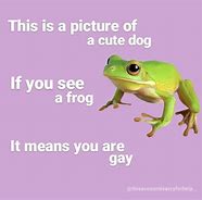 Image result for Frog Humor