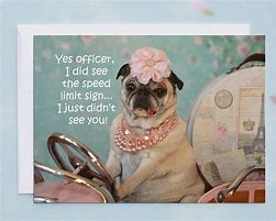 Image result for Funny Frienship Cards