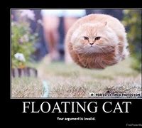 Image result for Glowing Floating Cat Meme