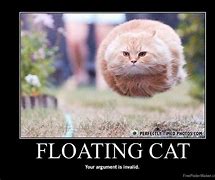 Image result for Floating White Cat Vacuum Meme