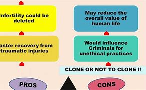 Image result for Cloning Pros and Cons