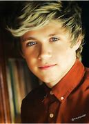 Image result for Niall Horan One Direction