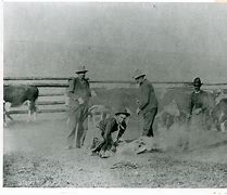 Image result for Cattle Rustler Hunting Dogs