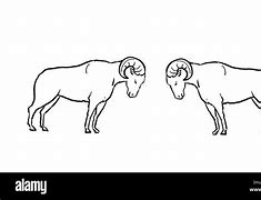 Image result for Bighorn Sheep Animation