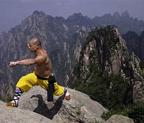 Image result for Meditation Martial Arts Charak's