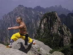 Image result for Shaolin Martial Arts