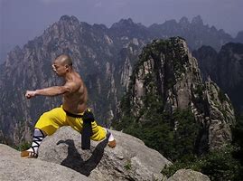 Image result for Martial Arts Meditation