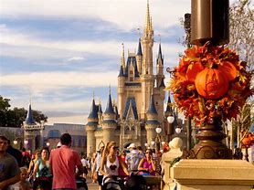 Image result for Disney Fall Pics