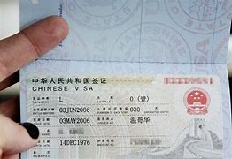 Image result for Chinese Travel Document