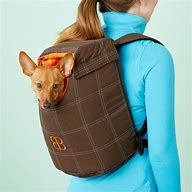 Image result for Backpack Pet Carriers for Small Dogs