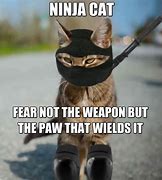 Image result for Funny Ninja Memes