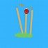 Image result for Funny Cricket Dfancy Dre's