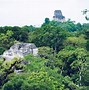 Image result for Las Ruinas De Tikal