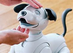 Image result for Aibo Touch