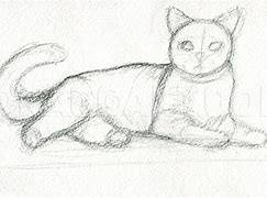 Image result for Socket Cat Drawing
