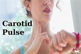 Image result for Carotid Pulse Massager