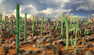 Image result for Mexican Desert Background