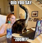 Image result for Cat Zoom Meme