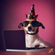 Image result for Staring at Computer Party Hat Meme
