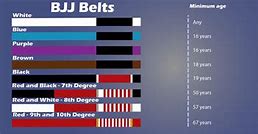 Image result for Brazilian Jiu-Jitsu Belt System