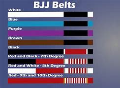 Image result for BJJ Jiu Jitsu Belt