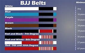 Image result for Belts in BJJ