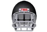 Image result for Cricket Helmet