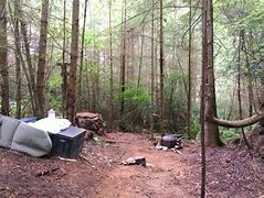Image result for MNT Man Finds Boysin Woods Cabin