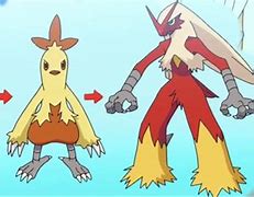 Image result for Pictures of All Evolutions of Torchic