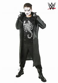Image result for WWE Costumes Kids