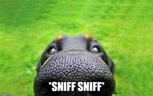 Image result for Funny Smell Memes