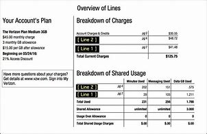 Image result for Verizon Wireless Bill