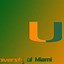 Image result for Miami Hurricanes Logo