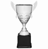 Image result for Metal Cup Trophy