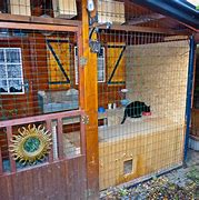 Image result for Stray Cat Shelter