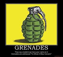 Image result for Grenade Anatomy Meme