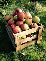 Image result for Apple Crate