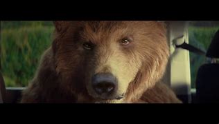 Image result for Bear with Yoyo Meme