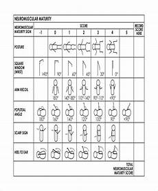 7 Newborn Baby Growth Chart Templates Free Sample