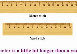 Image result for Things That Are 1 Metre Long