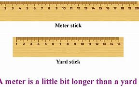 Image result for Items a Meter Long
