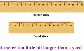 Image result for How Long Is 30 Meters