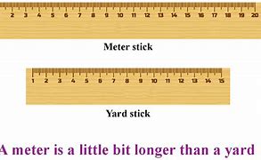 Image result for How Long Is 5 Meters