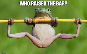 Image result for Frog Meme Animal