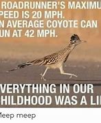 Image result for Road Runner Speed Limit Meme