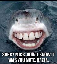 Image result for 2 People Shocked Meme Shark